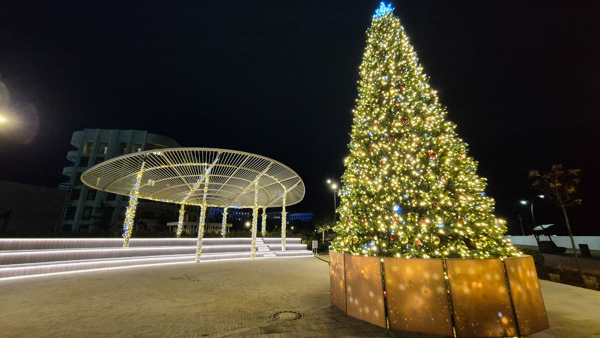 Новогодняя елка в Музыкальном саду.
