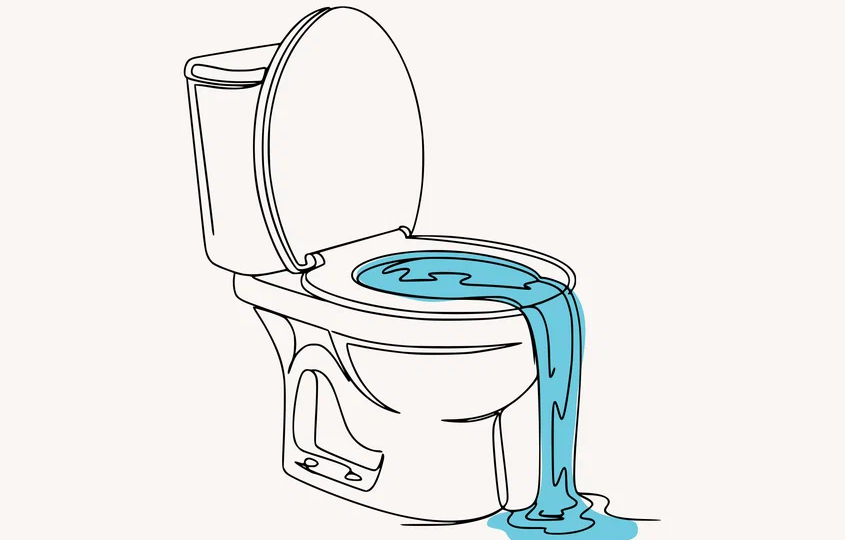 Как избавиться от засора в унитазе без вызова сантехника