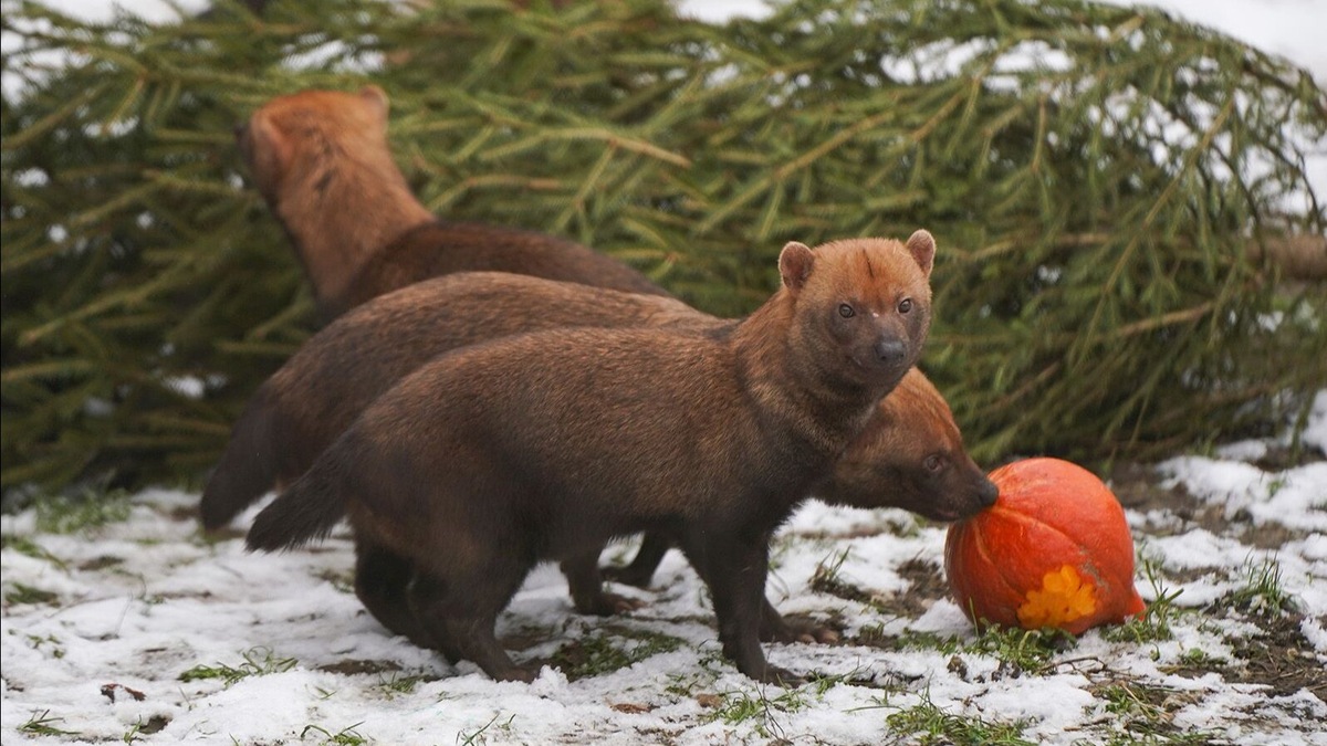   Источник: Евгений Самарин. Mos.ru