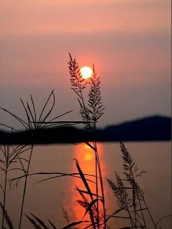 Все вечера Надя и Валера проводили вместе.