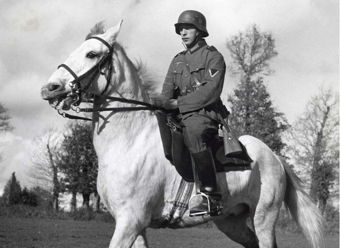 Правда ли, что чеченцы подарили Гитлеру белого коня
