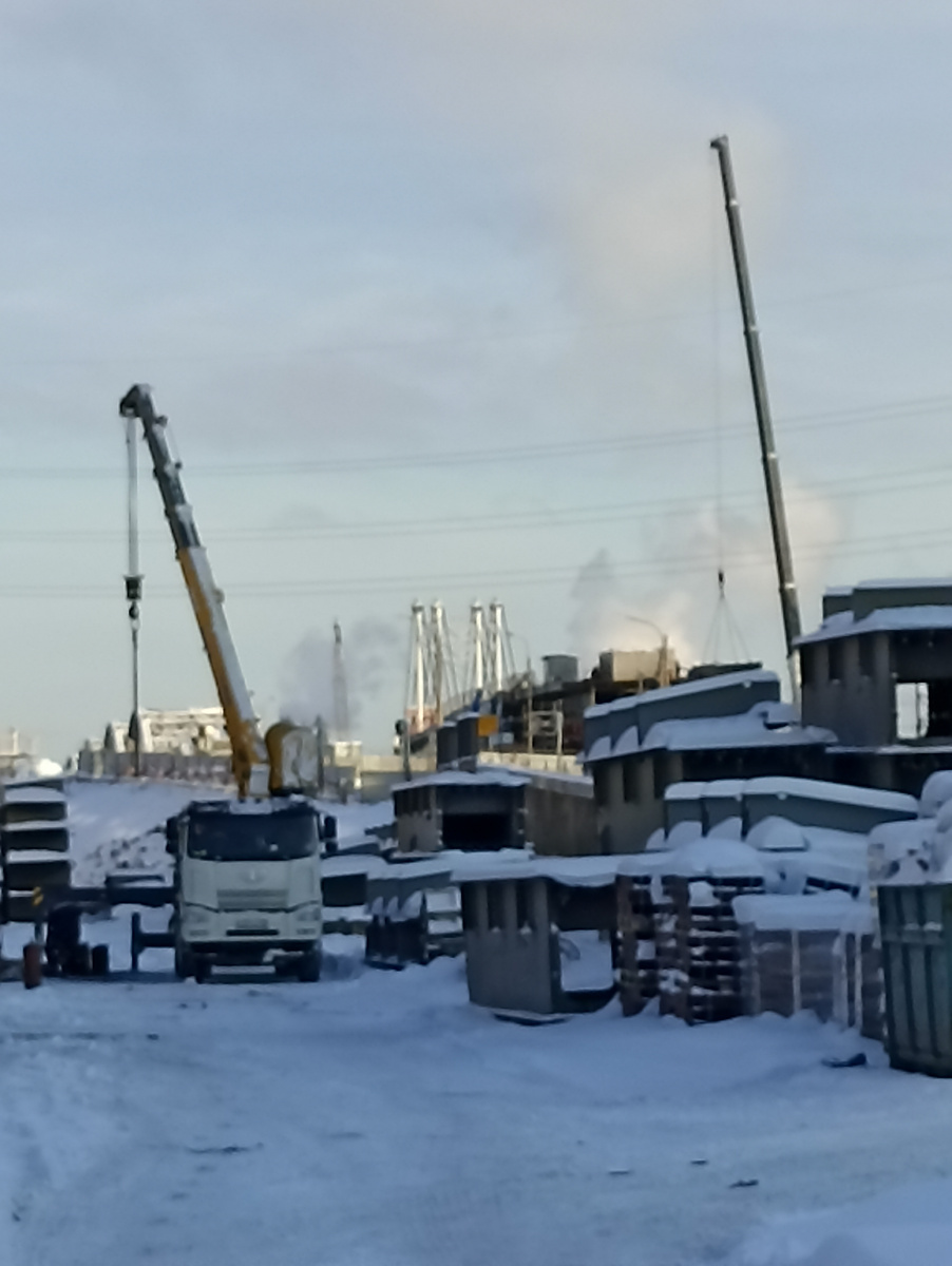 Арочный и вантовый путепровод 