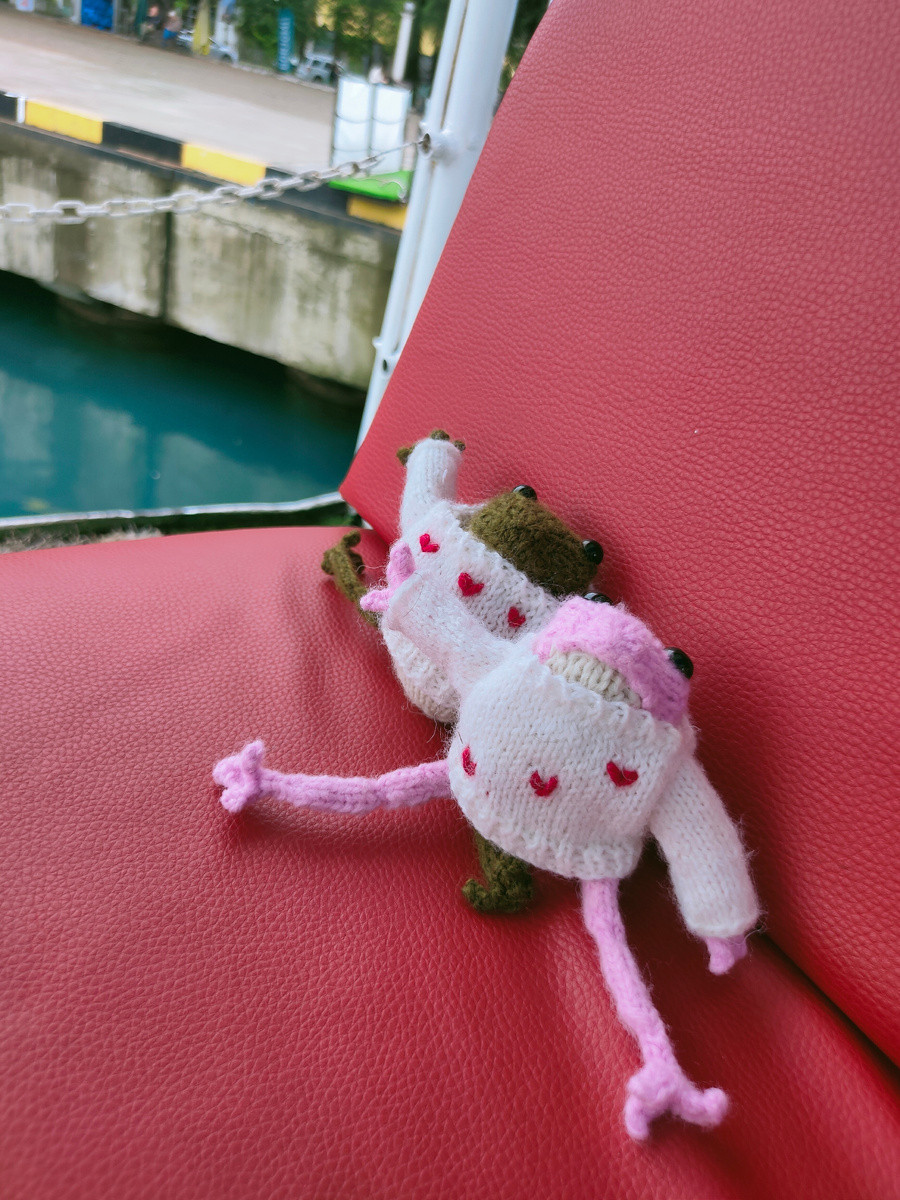 Фото автора ❤️ Лягушки- путешественницы шлют привет с моря