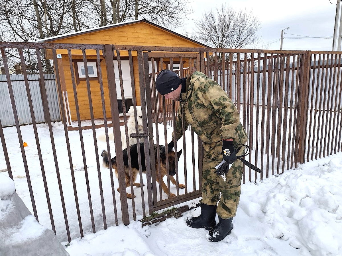 Зоогостиница "Атаман" работает на базе кинологического центра