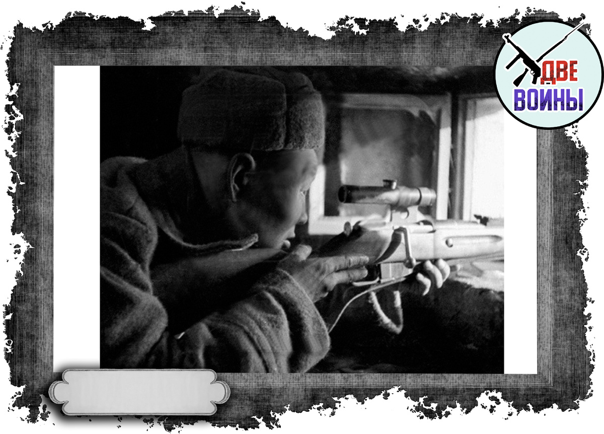 Фото в свободном доступе.