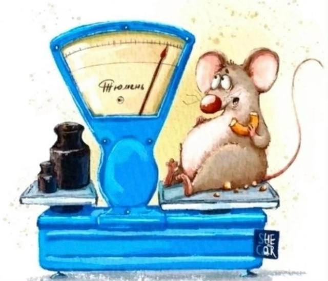 Изображение из открытых источников интернет