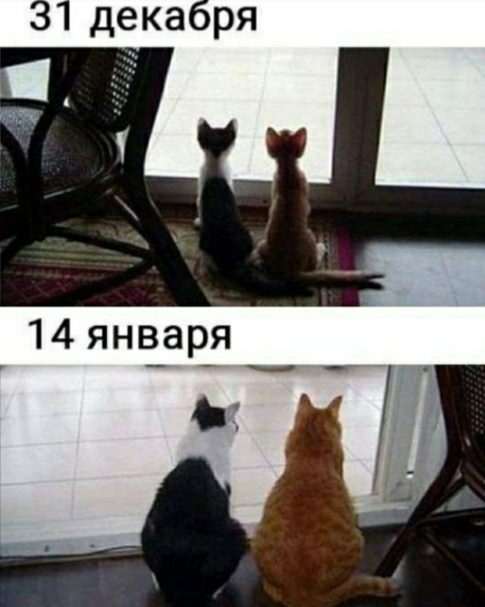 коллаж из открытых источников интернет