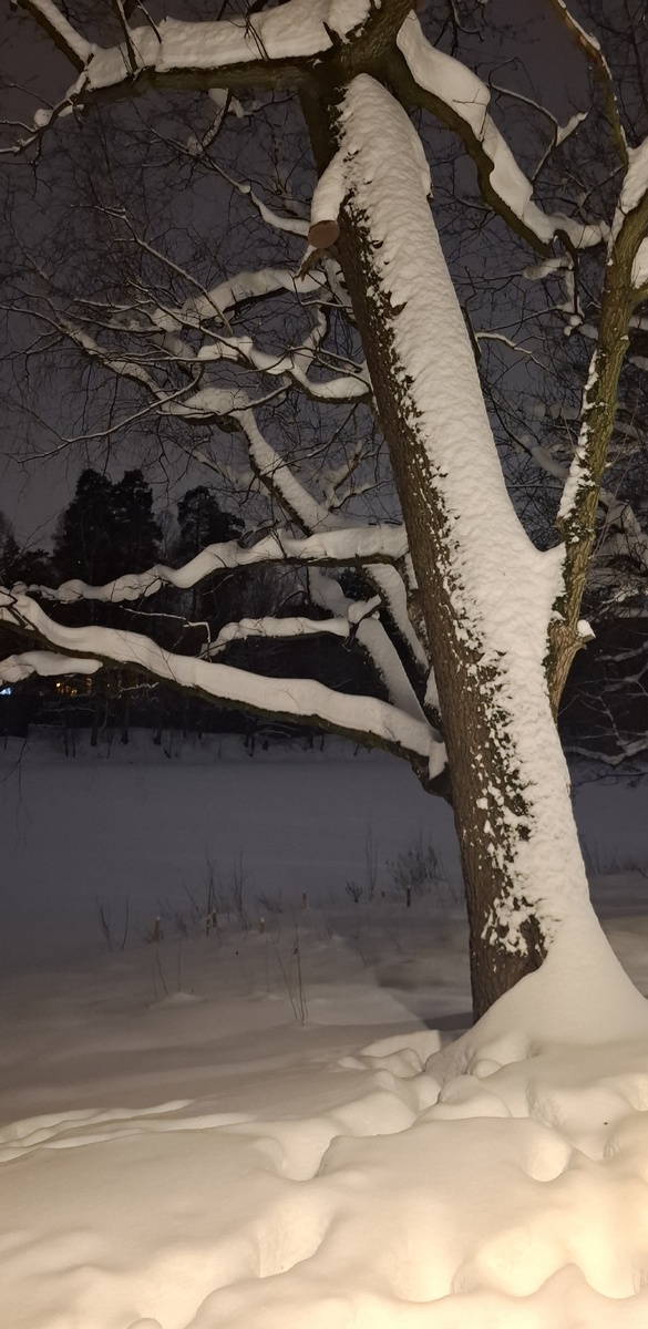 Ну, красота ведь!