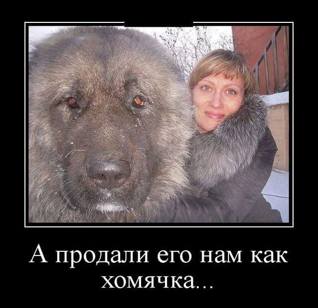 Смех из социальных сетей! Забавные шутки, забавные случаи и веселые рассказы. Фото взято из общедоступных ресурсов соцсетей.