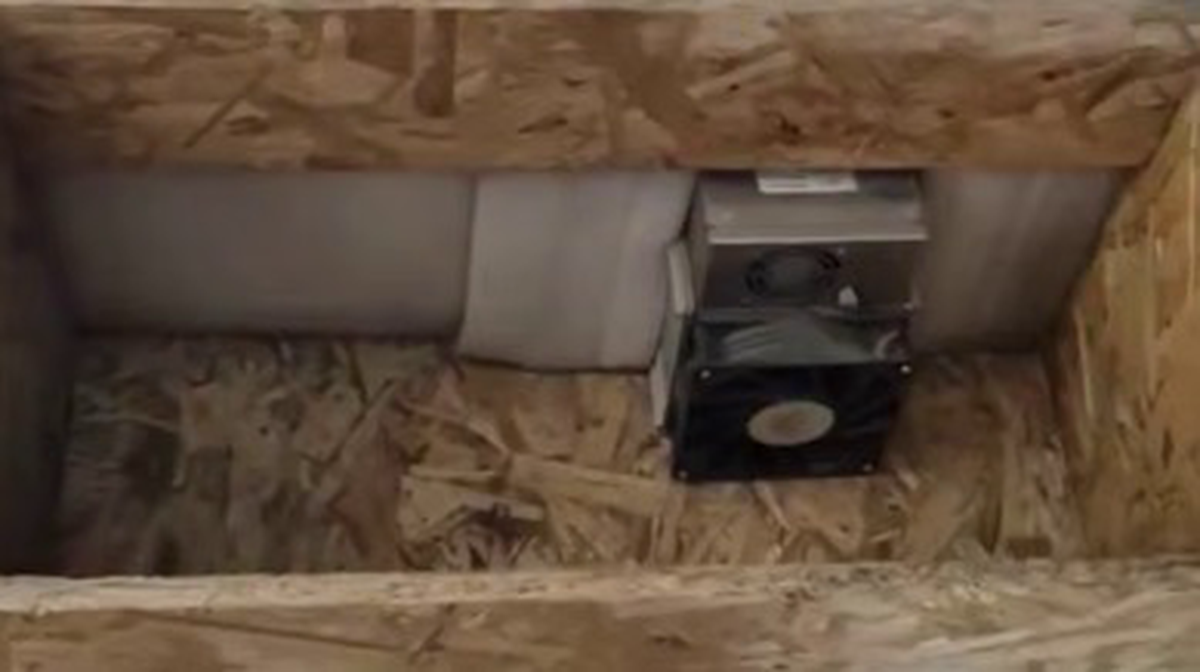    Фото: скриншот / Ирина Волк / Telegram