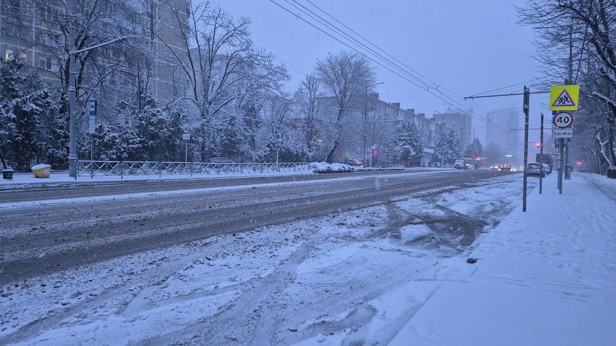    Фото: телеканал «Краснодар»