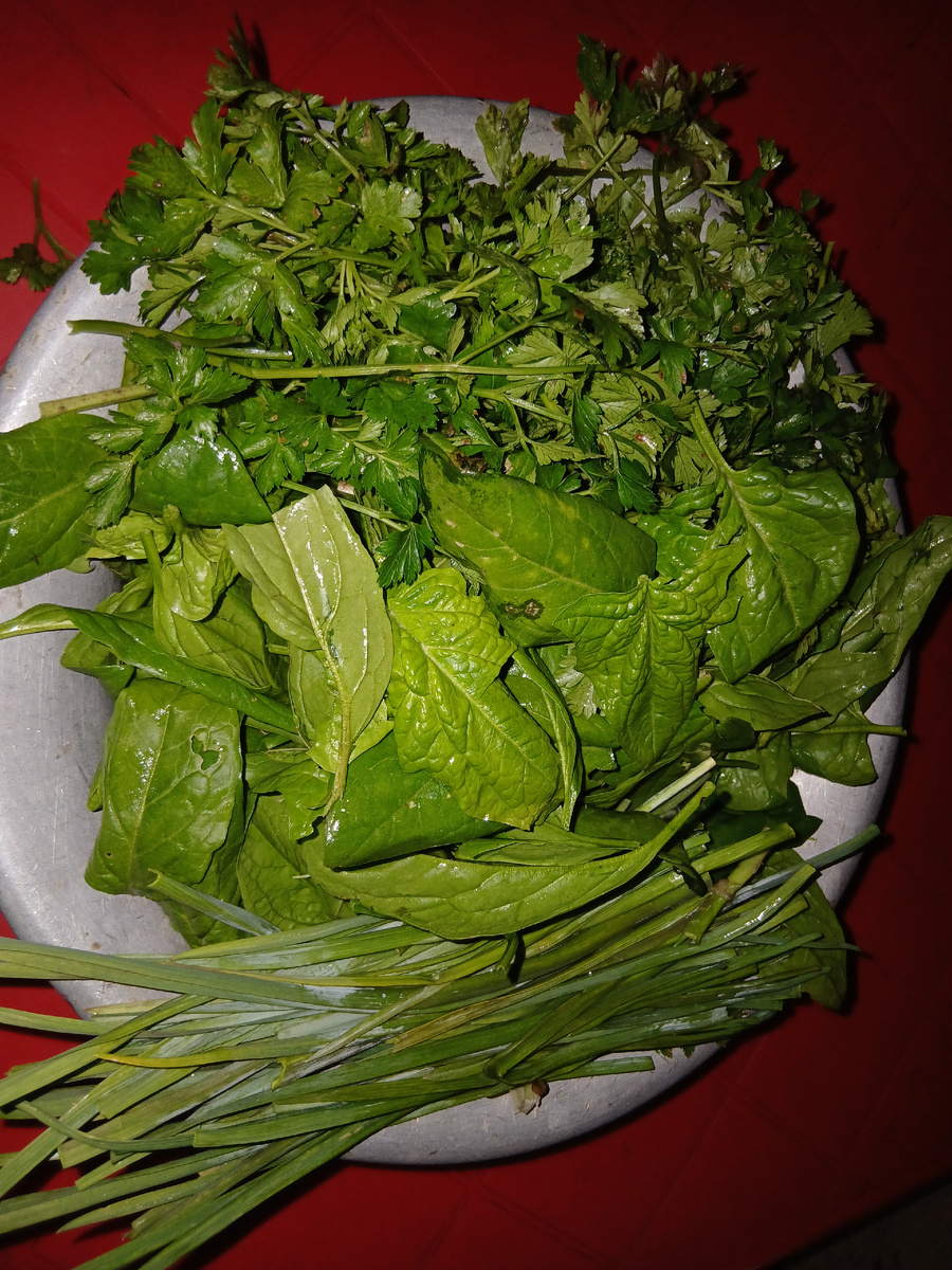 Вспомнила сказку, как мачеха  отправила падчерицу в лес за подснежниками.