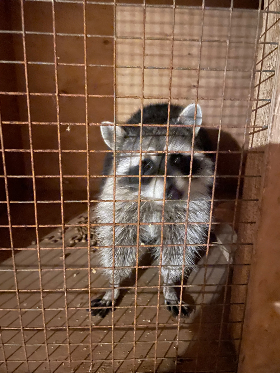 Ну как они могли?!?