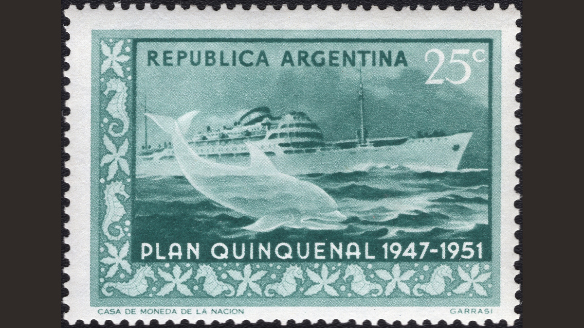 1.2. Аргентина, 1951 год, № 586. Пассажирский пароход «Maipu» с тенью дельфина. Пятилетний план 1947-1951.