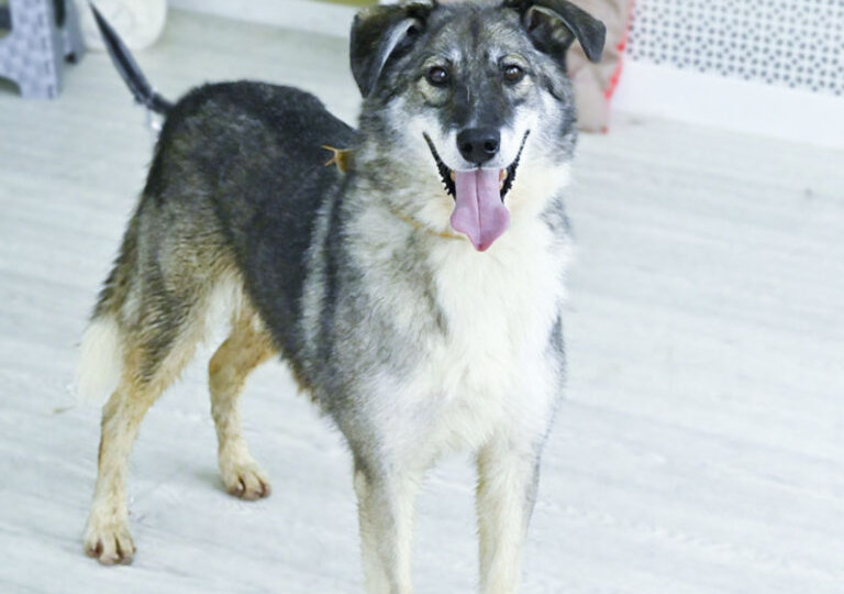 Дом для Дэрика!