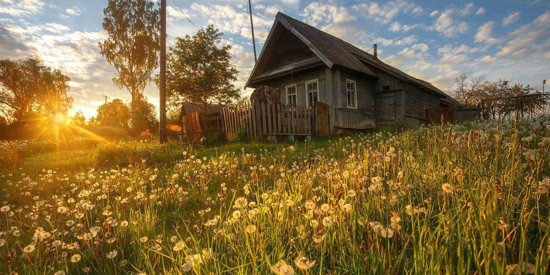 Заключение к книге "Ода русской деревне".