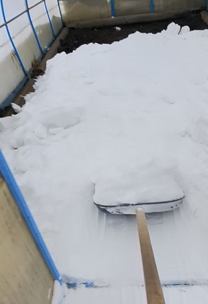 Снег в теплицу