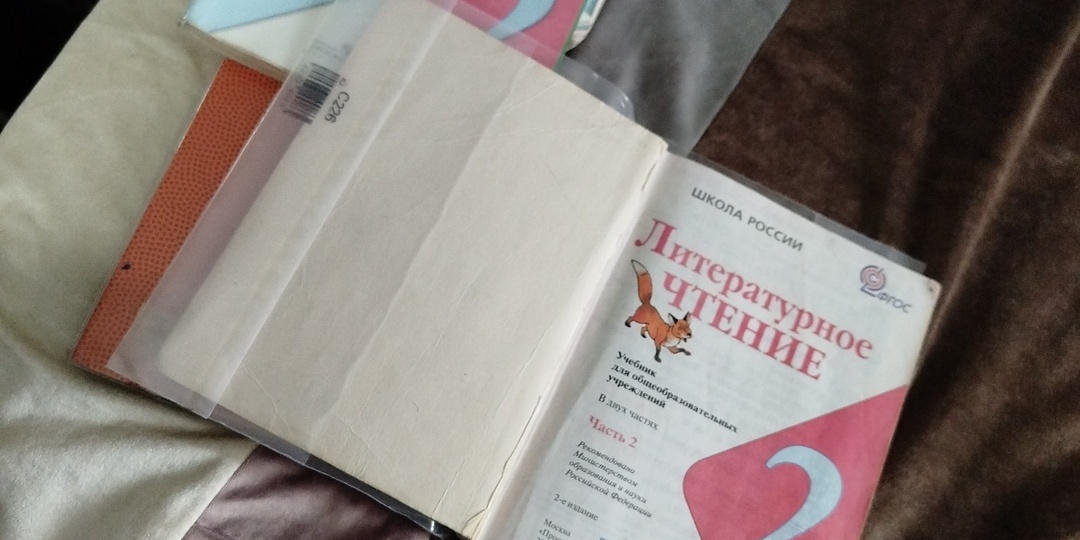 Запасливый сын и морально сложное начало года