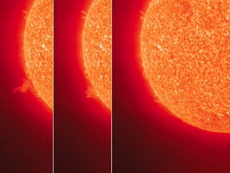     Фото: [interest.com