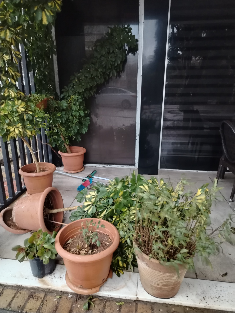 Снесло цветочные горшки