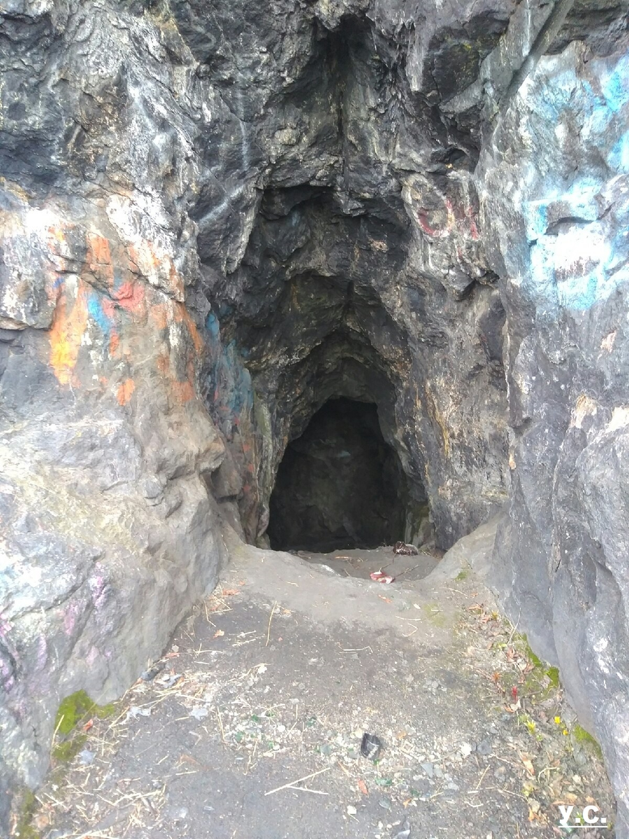 Убежище на Планерном поле