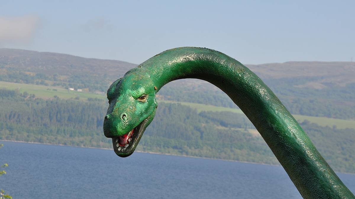    Фото: Shutterstock