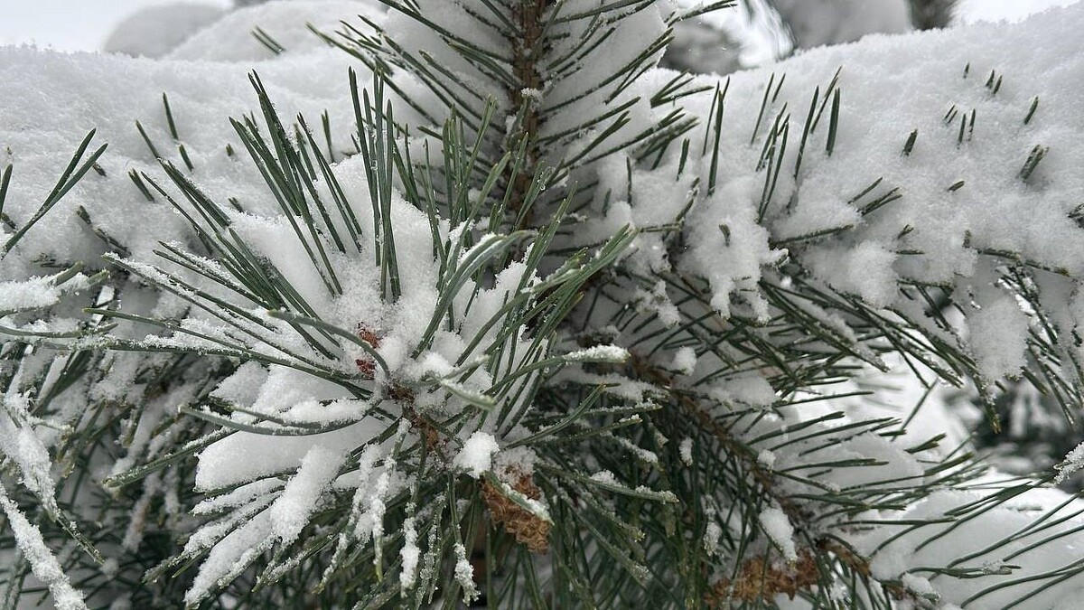    Фото: телеканал «Краснодар»