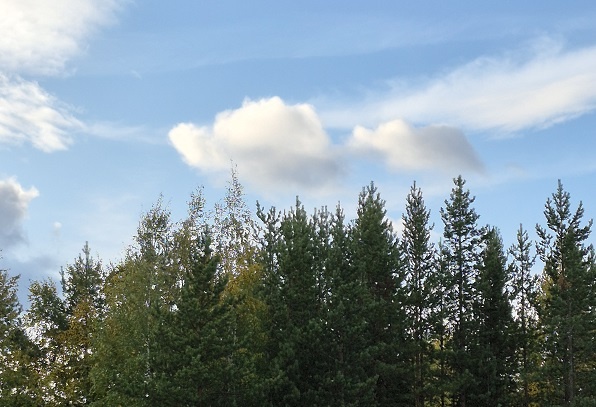 Фото из личного архива автора