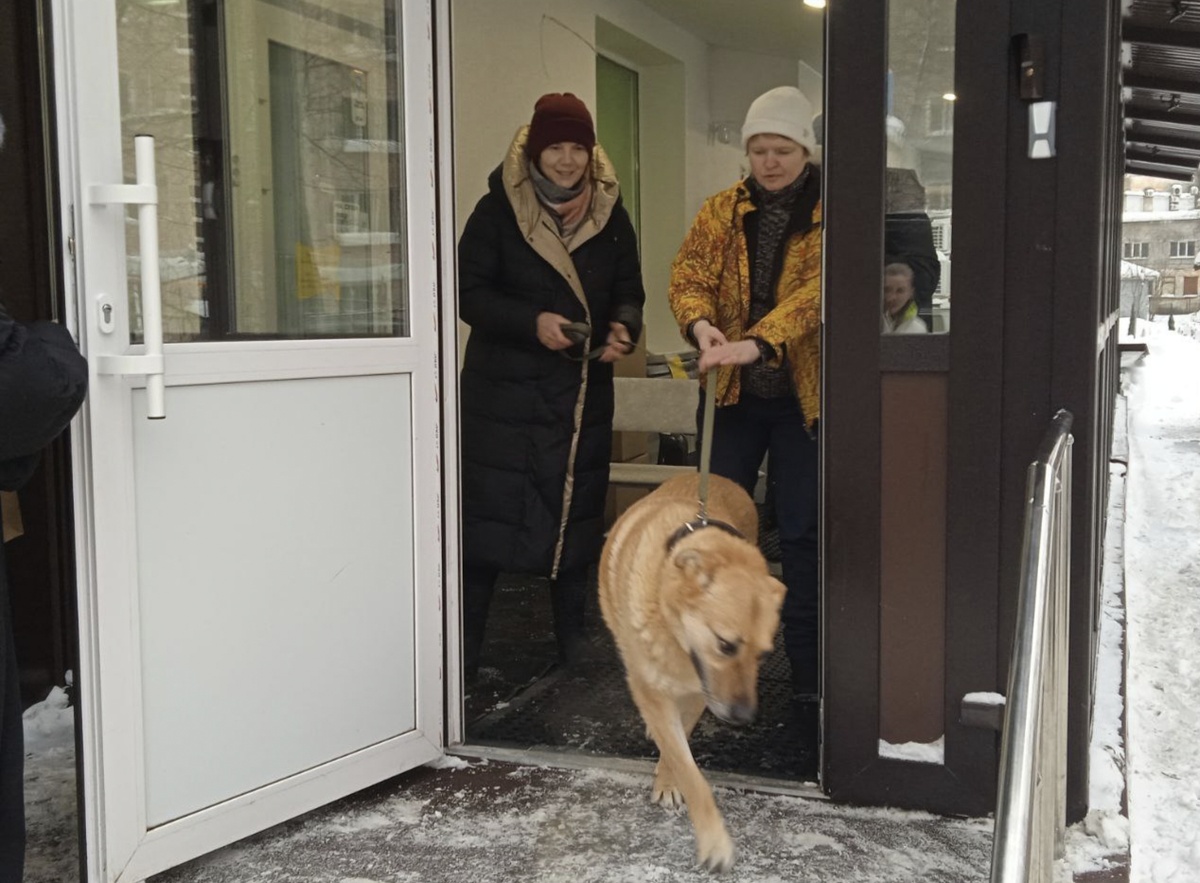 Переезд из одной клиники в другую 