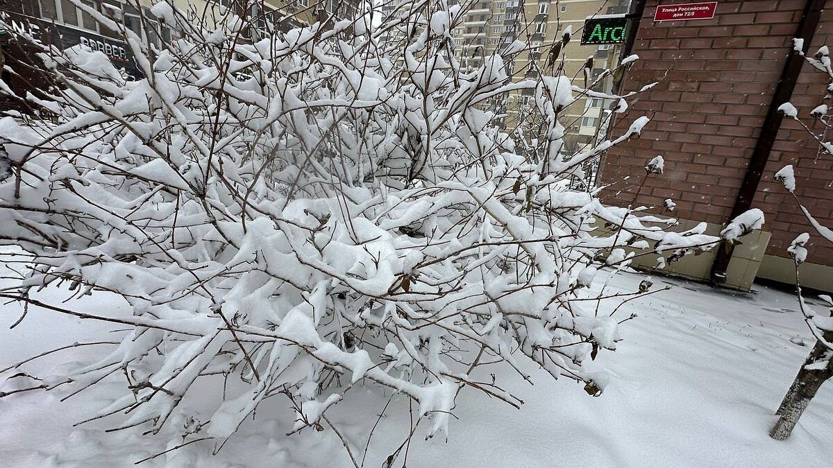    Фото: телеканал «Краснодар»