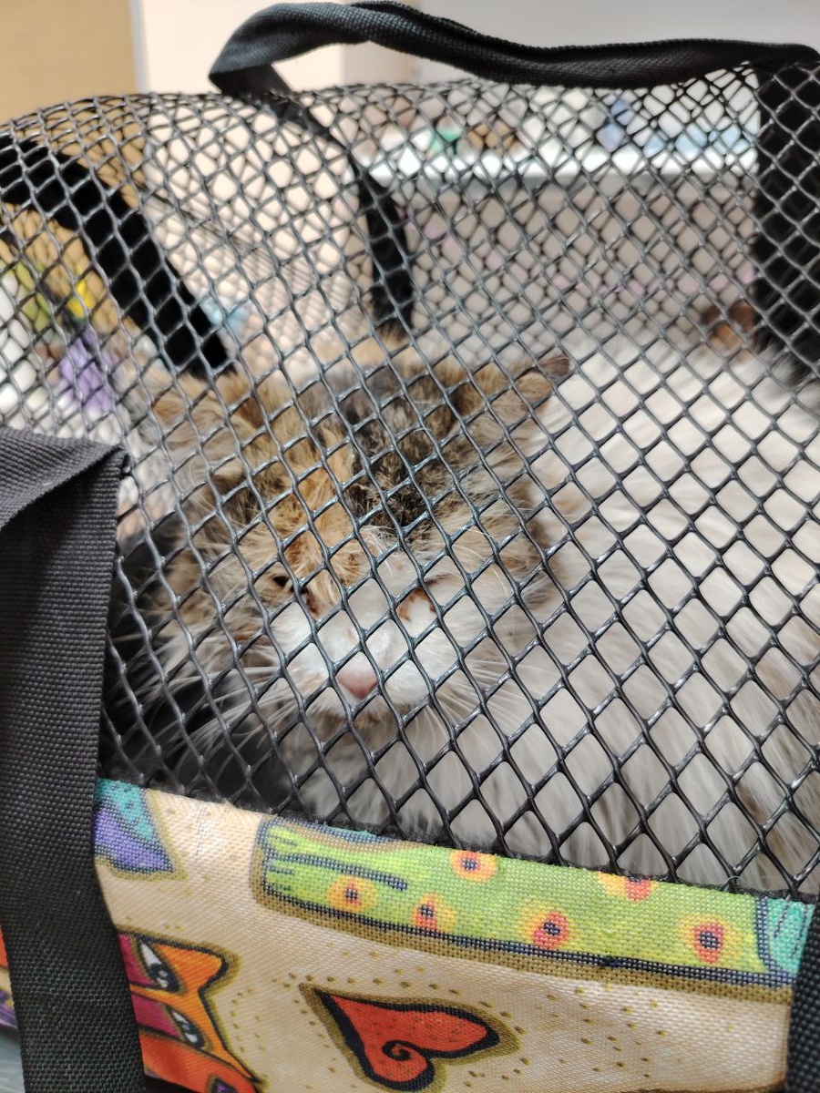 Радуга приехала в клинику