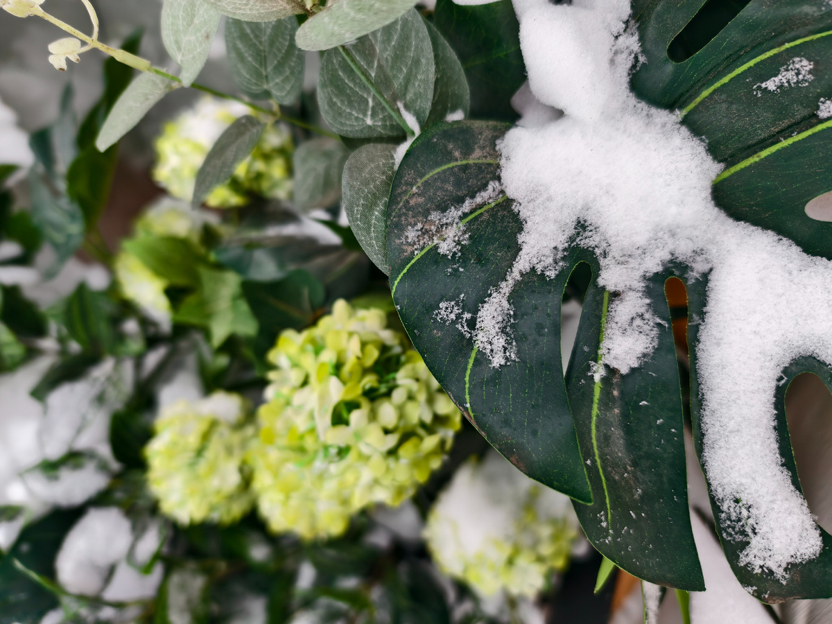 На зимней улице