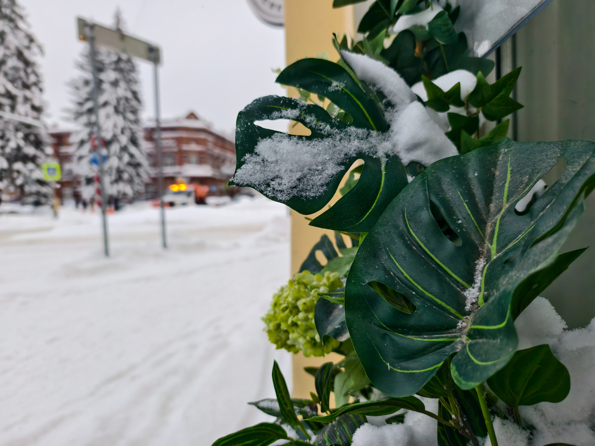 На зимней улице