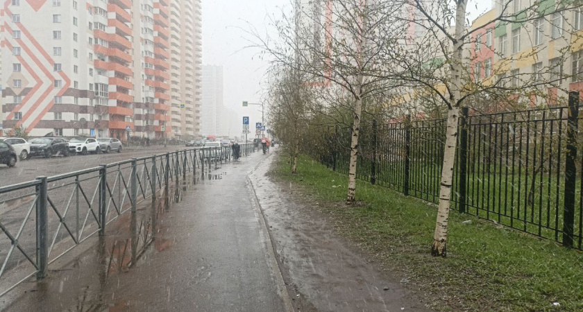    Фото из архива редакции