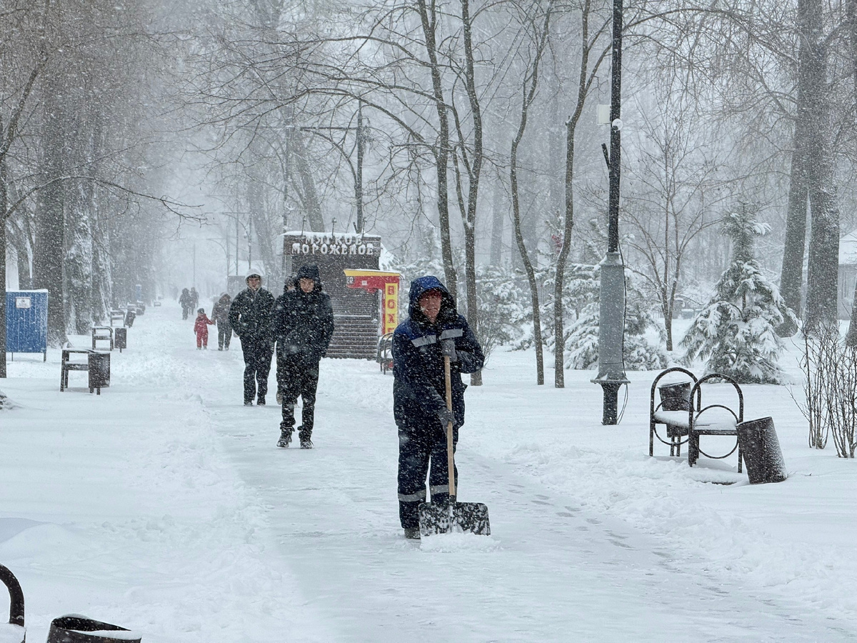 Краснодар, 12 января