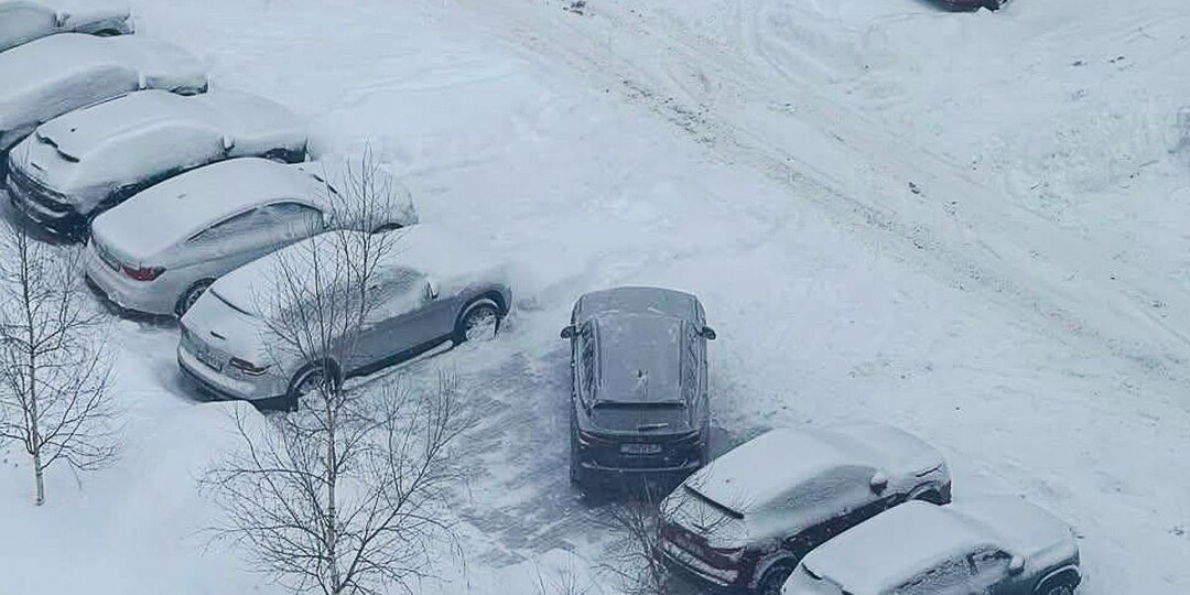 Как и чем забронировать почищенное от снега место – вредные советы