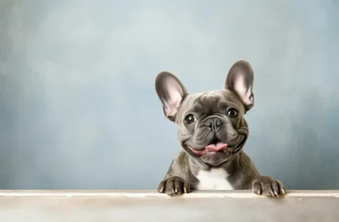 Фото из интернета