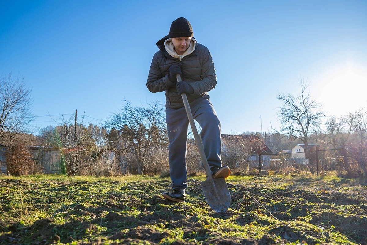 Планируйте работы на раннюю весну или позднюю осень, когда грунт сухой и не мерзлый. Источник: vittoria_vittoria / Shutterstock / FOTODOM📷
