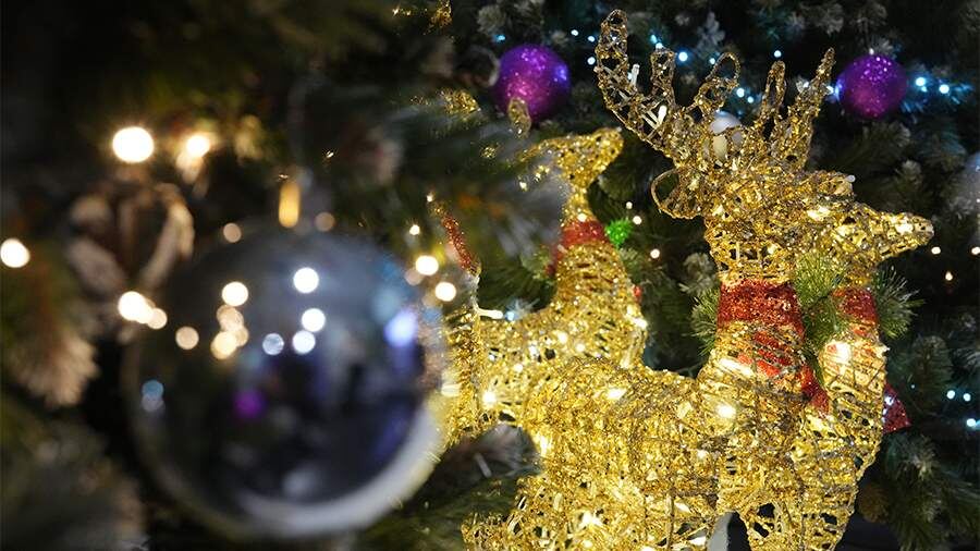    Фото: ИЗВЕСТИЯ/Дмитрий Коротаев