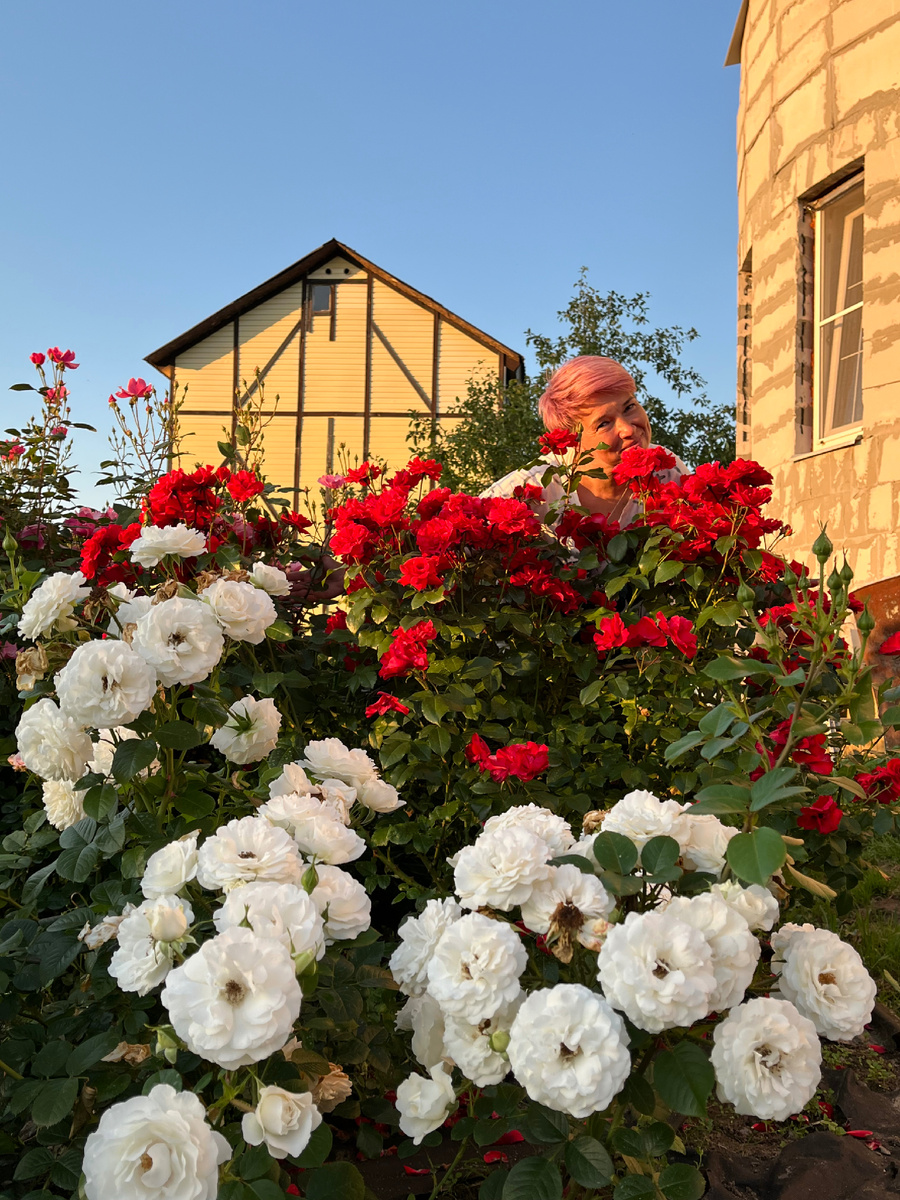 Чудо в розах))