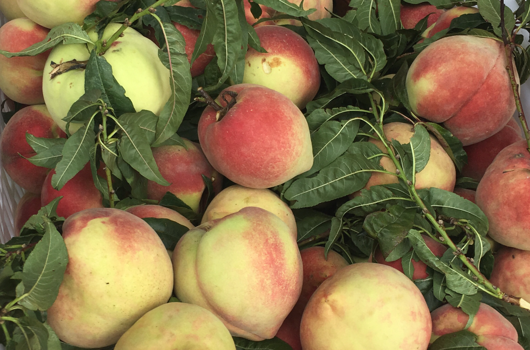 Остроносые и довольно крупные китайские персики вместе с веточками я купила в Лидзяне.