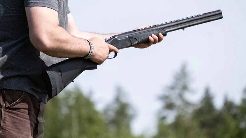    Фото: Air_Lady/Shutterstock/Fotodom