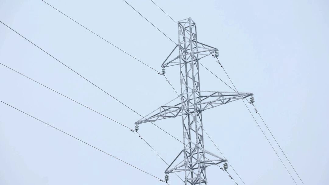    Фото: Андрей Ткачёв/«Ямал-Медиа»