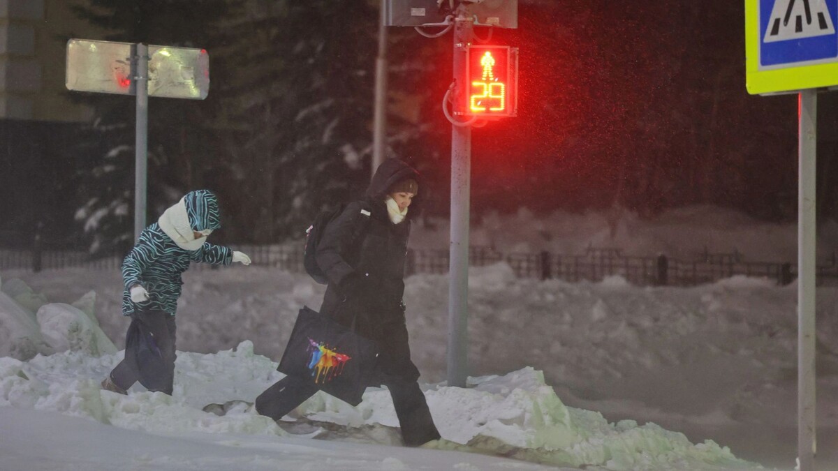    Фото: Андрей Ткачев / «Ямал-Медиа»