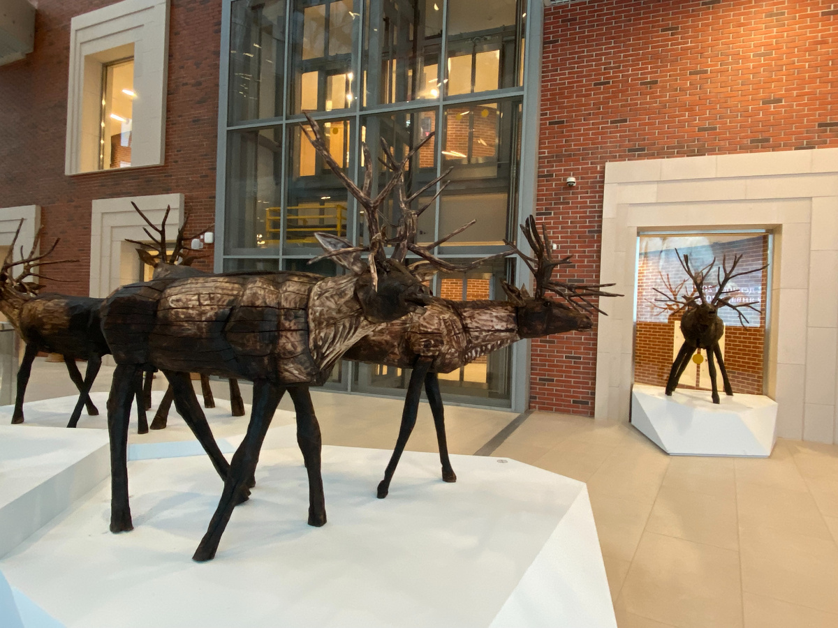 Николай Полисский. Северные олени. 2025. Инсталяция выполнена специально для выставки «Арктика. Полюс цвета».