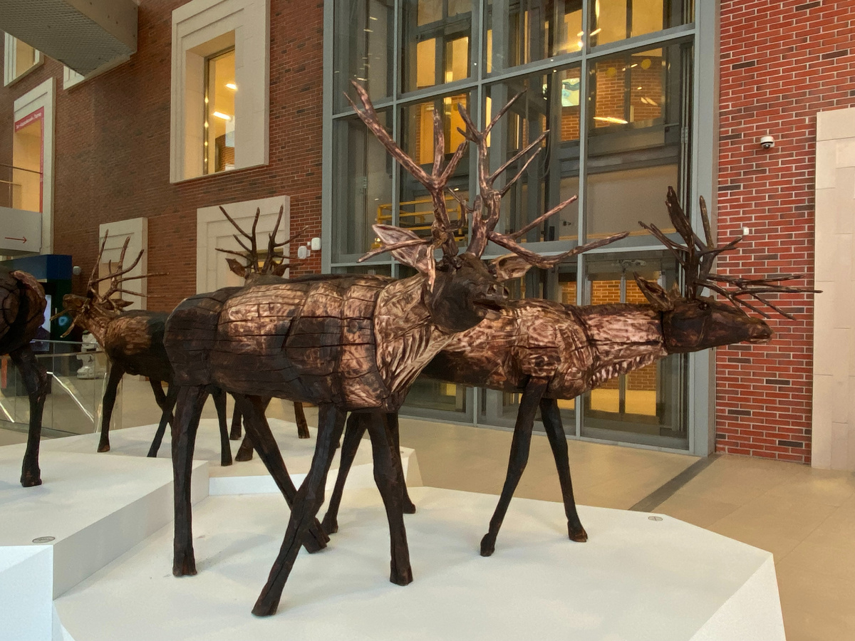 Николай Полисский. Северные олени. 2025. Инсталяция выполнена специально для выставки «Арктика. Полюс цвета».