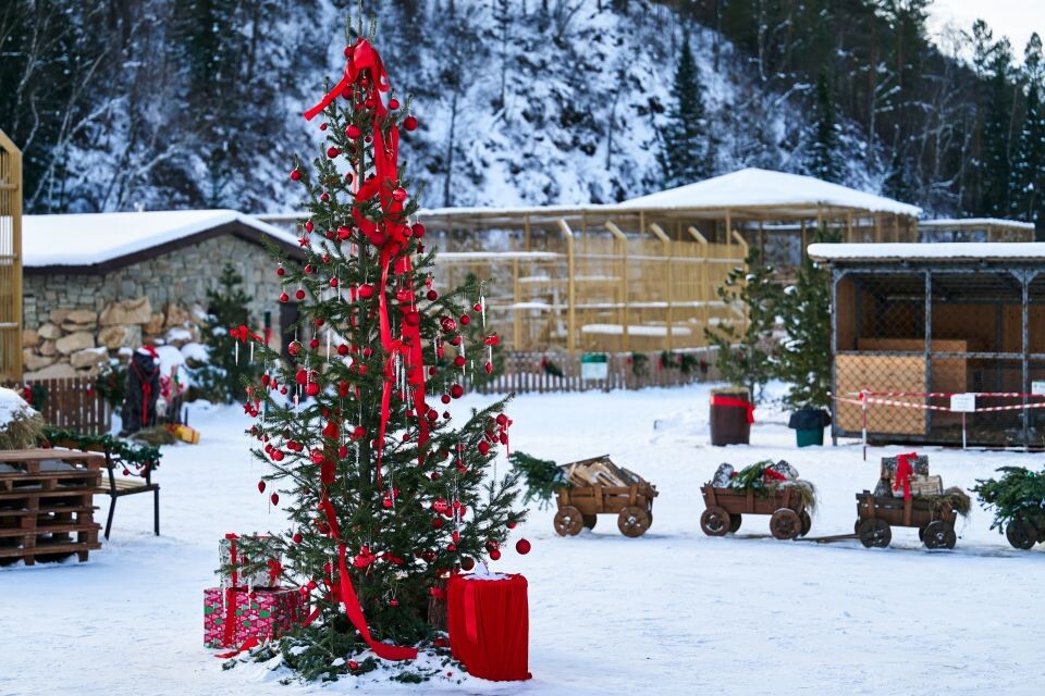   Зоопарк в поселке Карым Майминского района. Источник: Руслан Каппес