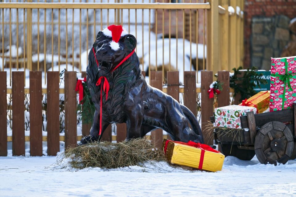    Зоопарк в поселке Карым Майминского района. Источник: Руслан Каппес