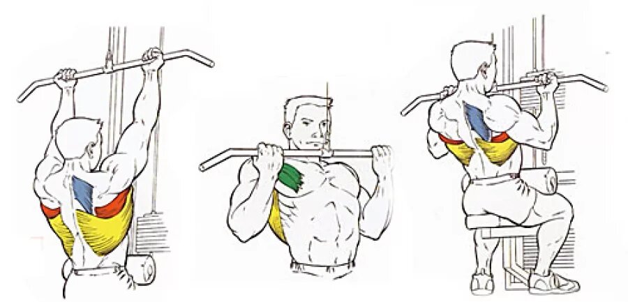 Изображение взято из открытого источника