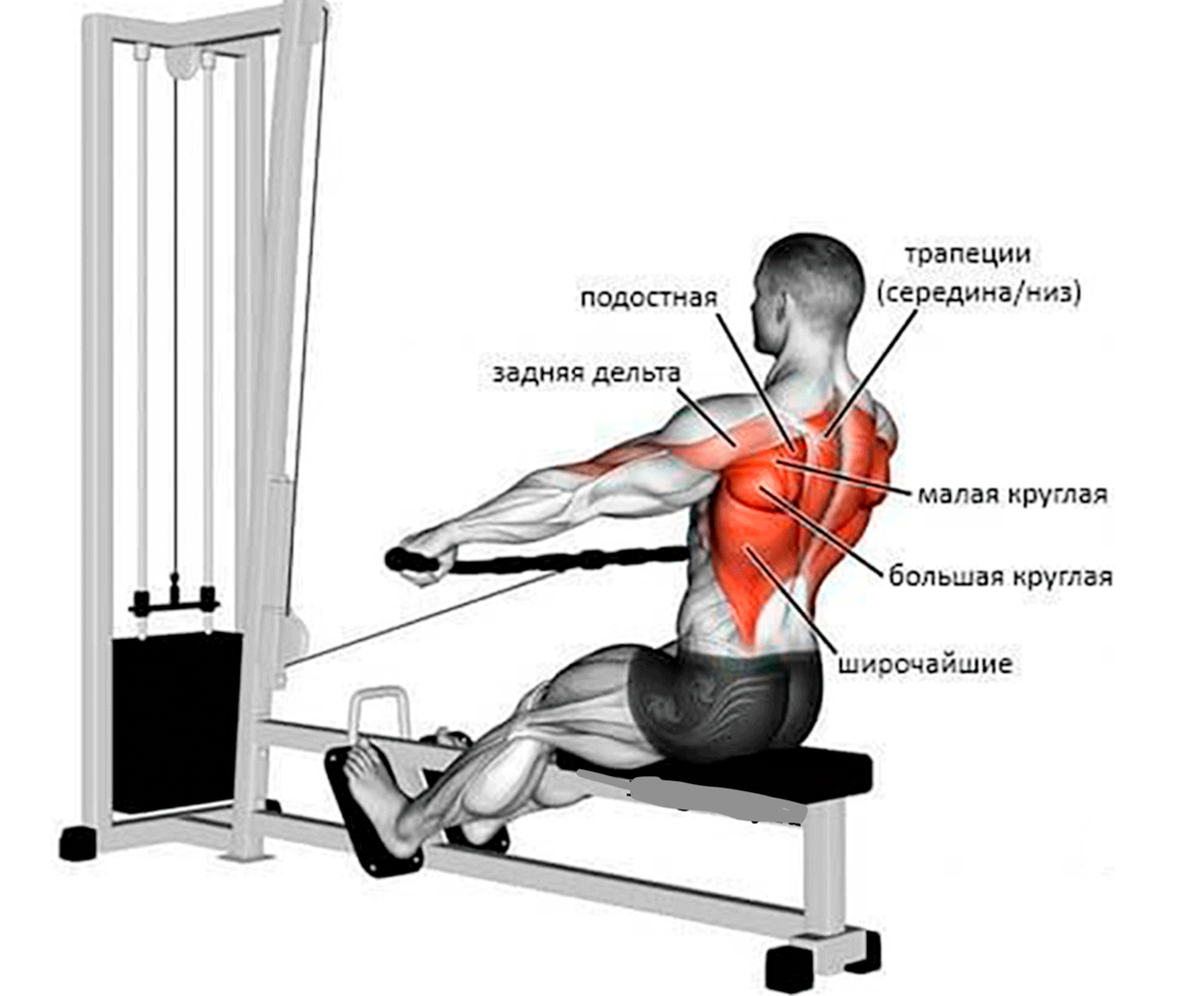 Изображение взято из открытого источника